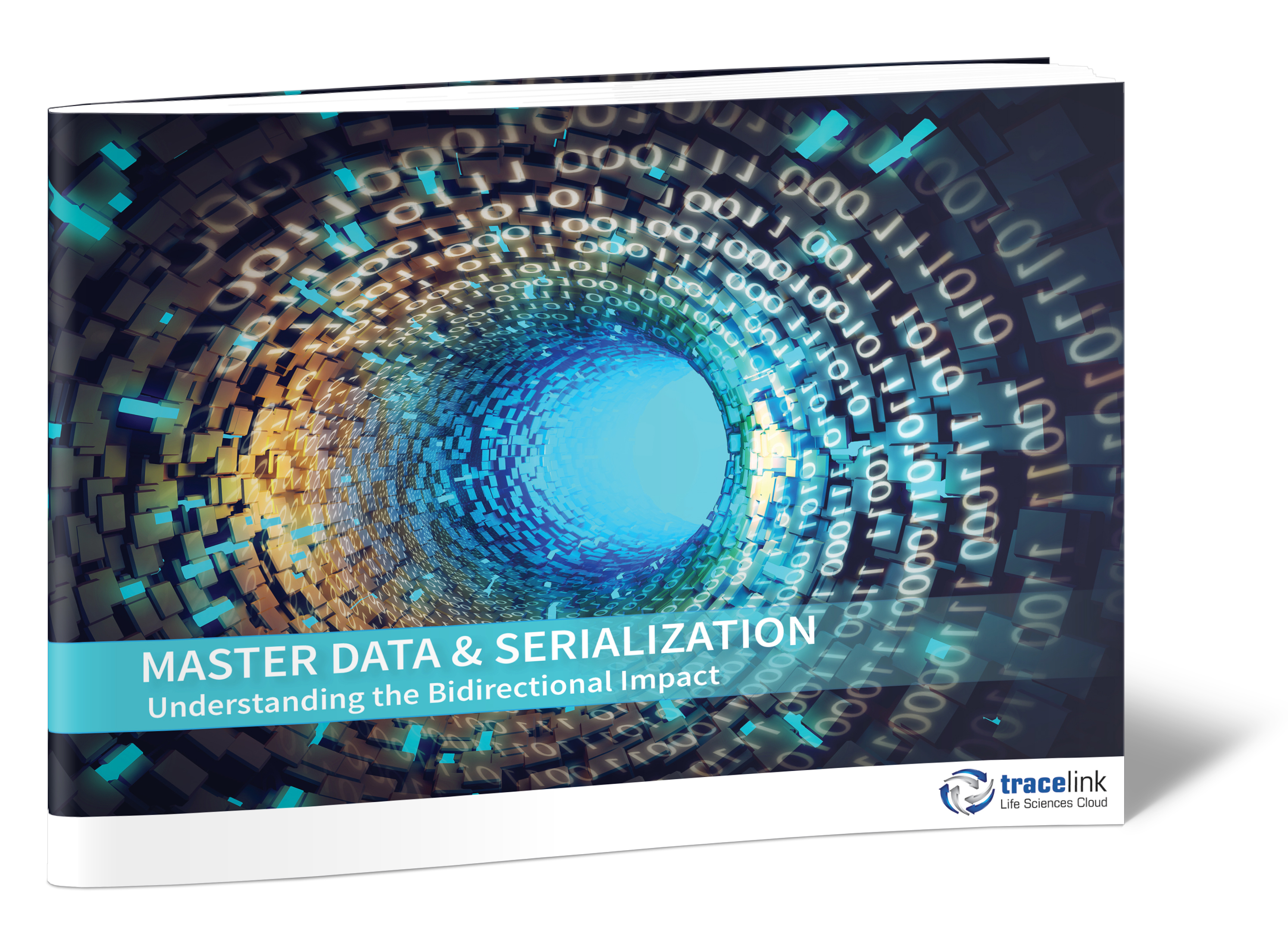 Master%20Data%203D%20image - eBook:  Master Data and Serialization